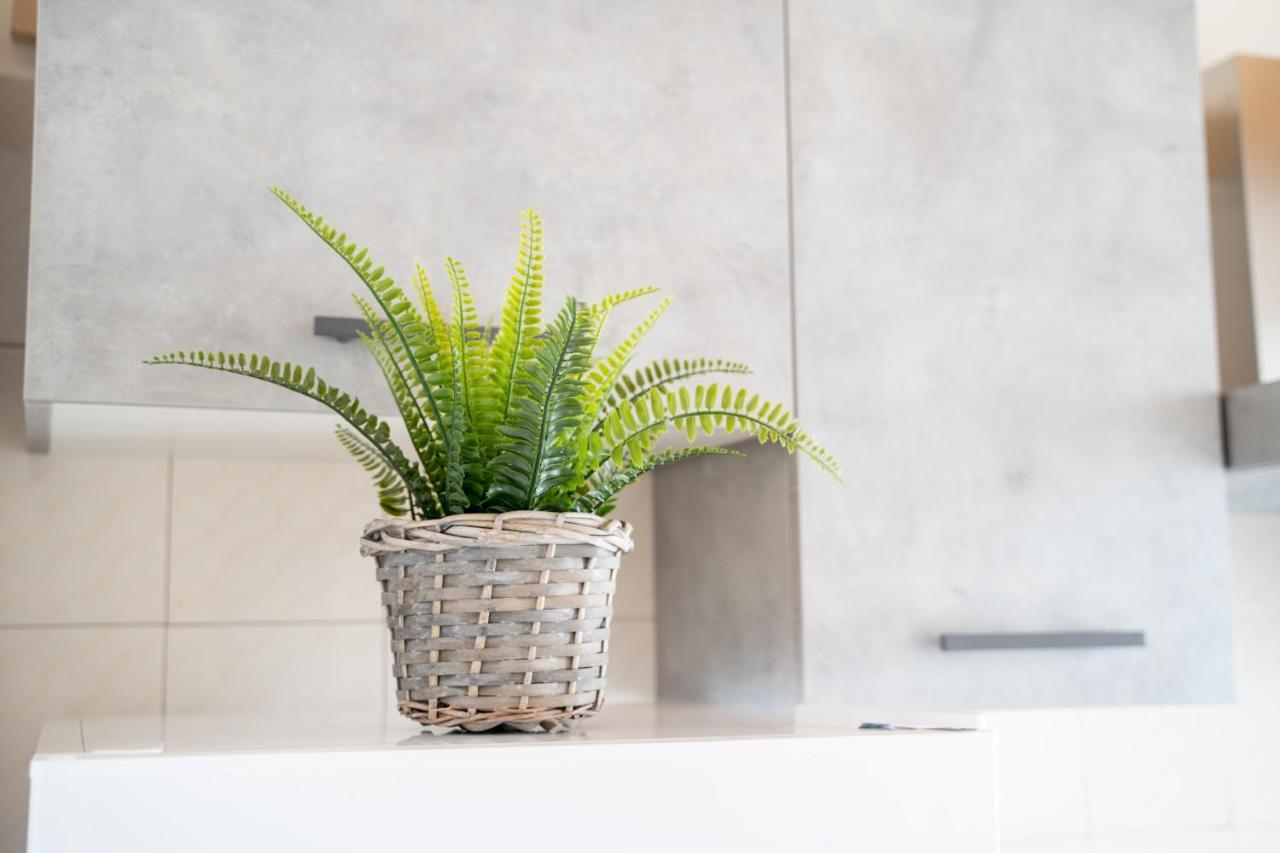 Historic Center Apartment - Catania Stays Exterior foto